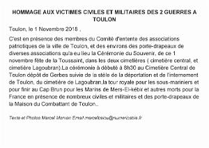 2018 11 01 TOULON HOMMAGE AUX VICTIMES CIVILES ET MILITAIRES DES 2 GUERRES (0)